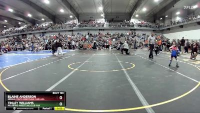 45 lbs Champ. Round 1 - Blaine Anderson, Sedalia Youth Wrestling Club-AAA vs Tinley Williams, Hillsboro Wrestling Club-AAA