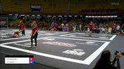 VICTOR HONORIO vs Jhonatan Lopes 2024 ADCC South American Trials 1