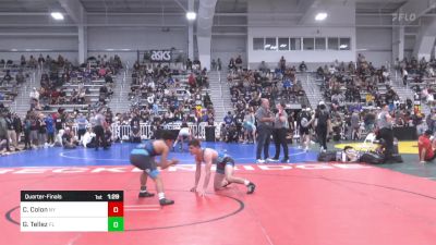 120 lbs Quarterfinal - Christopher Colon, NY vs Gabriel Tellez, FL