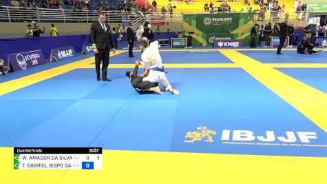 WAGNER AMADOR DA SILVA JUNIOR vs TAUÃ GABRIEL BISPO GAMA 2024 Brasileiro Jiu-Jitsu IBJJF