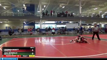 110 lbs Round 2 (8 Team) - Gino Biondillo, Brecksville vs Crorben Bissett, Mentor