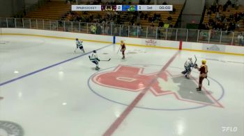 Replay: Home - 2024 Mullets vs Riverkings | Jan 26 @ 6 PM