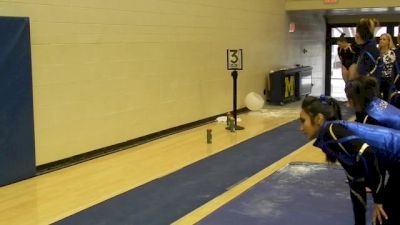 Michigan (Katie Zurales) - 9.85