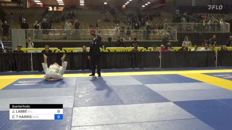 CONNOR T HARRIS vs JEAN-FRANÇOIS LABBÉ 2024 Pan Jiu Jitsu IBJJF Championship