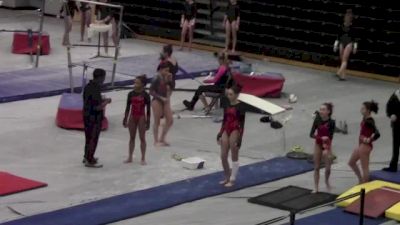 Vault 1 Tulip