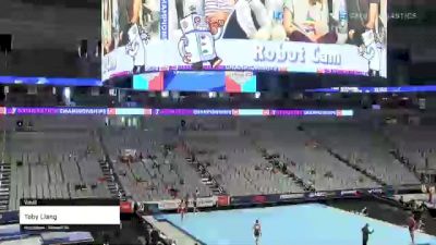 Toby Liang - Vault - 2021 US Championships