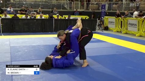 ALLISON ELAINE SMITH vs MOLLY BROWN 2024 Pan Jiu Jitsu IBJJF Championship
