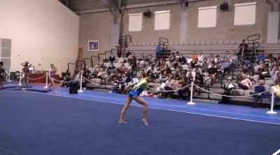 SCEGA (Erin Elkabchi)