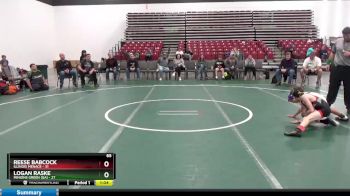 65 lbs Round 1 (8 Team) - Logan Raske, Minions Green (GA) vs Reese Babcock, Illinois Menace