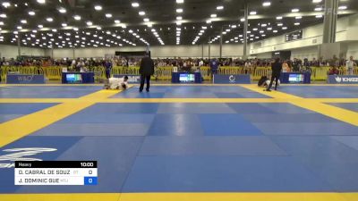 DAVI CABRAL DE SOUZA vs JOSHUA DOMINIC GUE 2023 IBJJF Jiu-Jitsu CON International