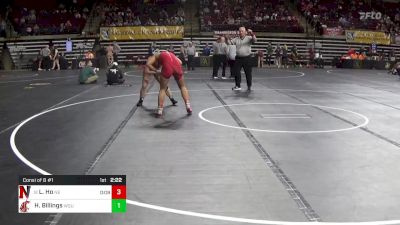 136 lbs Consi Of 8 #1 - Linh Ho, Northeastern (W) vs Haley Billings, Washington State (W)