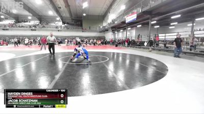 100 lbs Semifinal - Jacob Schatzman, Hillsboro Wrestling Club-AAA vs Hayden Dinges, Pleasant Hill Youth Wrestling Club-AAA