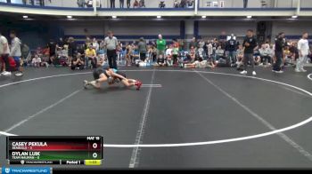 76 lbs Round 5 (8 Team) - Dylan Luik, Team Nauman vs Casey Pekula, Seagulls