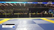 ARIEL MICHELE OVERSTREET vs CARINY PEREZ TORRES 2024 Pan Jiu Jitsu IBJJF Championship