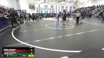 105 lbs Cons. Round 4 - Brisa Cedano, Valencia/Placentia vs Joselyn Ayala, South El Monte