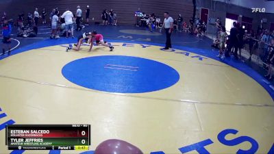 90 lbs Champ. Round 1 - Esteban Salcedo, Hollister Razorbacks vs Tyler Jeffries, Amateur Wrestling Academy