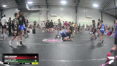 70 lbs Semifinal - Aria Bushaw, Carolina Reapers vs Maisyn Lott, Bison Takedown Club