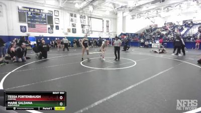 105 lbs Semifinal - Tessa Fortenbaugh, Canyon vs Marie Saldana, Northview