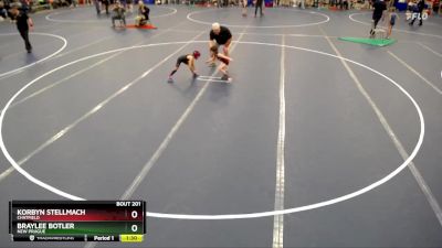 48 lbs Round 2 - Korbyn Stellmach, Chatfield vs Braylee Botler, New Prague