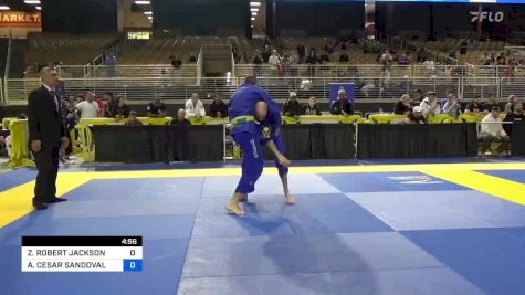 ZACHARY ROBERT JACKSON vs AUGUSTO CESAR SANDOVAL 2024 Pan Jiu Jitsu IBJJF Championship
