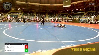 110 lbs Consi Of 4 - Kara-lynn Dover, Roundtree Wrestling Academy vs Ariel Biggs, Jackson County Wrestling Club