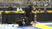 ALEXANDRE SANTOS PITA vs LUIS FELIPE TORRES ZUÑIGA 2024 Pan Jiu Jitsu IBJJF Championship