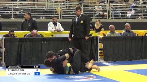 ALEXANDRE SANTOS PITA vs LUIS FELIPE TORRES ZUÑIGA 2024 Pan Jiu Jitsu IBJJF Championship