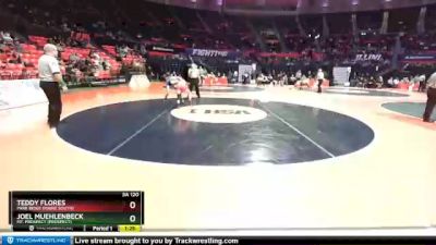 3A 120 lbs Quarterfinal - Joel Muehlenbeck, Mt. Prospect (Prospect) vs Teddy Flores, Park Ridge (Maine South)