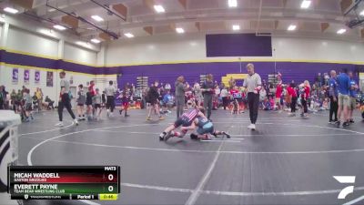 82 lbs Round 3 - Everett Payne, Team Bear Wrestling Club vs Micah Waddell, Gaston Grizzlies