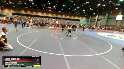 76-77 lbs Round 1 - Syress Ross, Greenwave Youth Wrestling vs Louis Sanchez, USA Gold