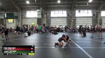 84 lbs Round 2 (6 Team) - Casey Bittner, Daniel Cormier vs Teo Triscaro, Terps Xtreme