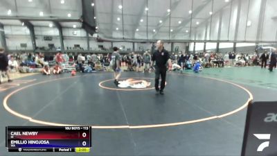 113 lbs Champ. Round 1 - Cael Newby, ID vs Emillio Hinojosa, WA