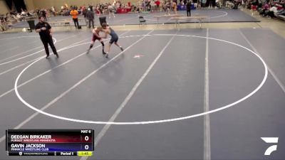 132 lbs Semifinal - Deegan Birkaker, Pursuit Wrestling Minnesota vs Gavin Jackson, Pinnacle Wrestling Club