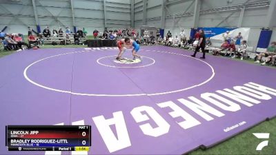 160 lbs Round 3 (8 Team) - Lincoln Jipp, Iowa vs Bradley Rodriguez-Little, Minnesota Blue