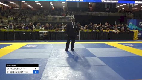 ATILA ACCOCELLA vs FABIO ROCHA ROSA 2024 Pan Jiu Jitsu IBJJF Championship