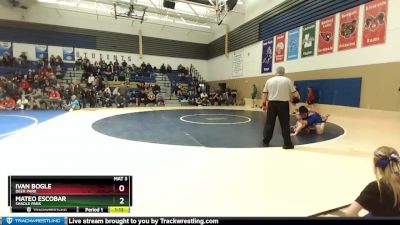 160 lbs Quarterfinal - Ivan Bogle, Deer Park vs Mateo Escobar, Shadle Park