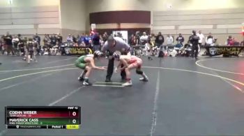 95 lbs Round 3 (4 Team) - Coehn Weber, Team Gotcha vs Maverick Cass, Ring Finger Wrestling