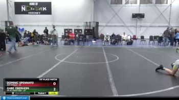 88 lbs Finals (2 Team) - Dominic Spennato, Mat Attack vs Gabe Oberheim, PA Alliance Red