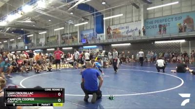 60 lbs 2nd Wrestleback (16 Team) - Campion Cooper, Rabbit WC vs Liam Crousillac, Alabama Elite Gold