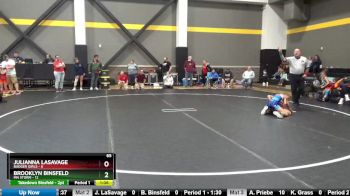 65 lbs Round 1 (4 Team) - Julianna LaSavage, Badger Girls vs Brooklyn Binsfeld, MN Storm