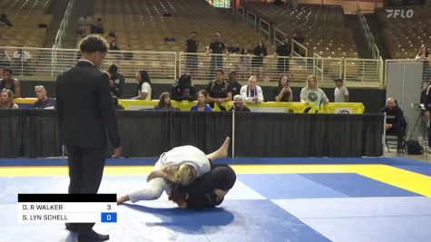 DANIELLE R WALKER vs SAMANTHA LYN SCHELL 2024 Pan Jiu Jitsu IBJJF Championship