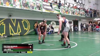 190 lbs Champ. Round 2 - Peyton Quarles, Austintown-Fitch vs Leo Hess, Mansfield Senior