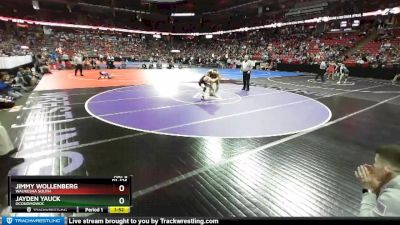 D1-126 lbs Champ. Round 1 - Jayden Yauck, Oconomowoc vs Jimmy Wollenberg, Waukesha South