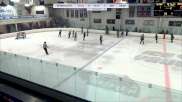 Replay: Home - 2024 LI Arrows U13 vs Hitmen U13 | Feb 3 @ 5 PM