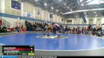 195 lbs Semis (4 Team) - Oliver Piwoszkin, Bloomington South vs Cale Metzler, Noblesville