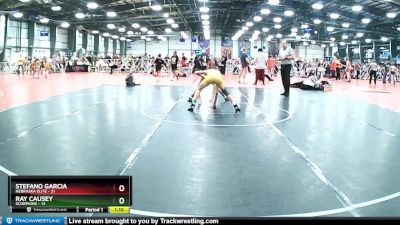 100 lbs Rd# 9- 2:15pm Saturday Final Pool - Ray Causey, Scorpions vs Stefano Garcia, Nebraska Elite