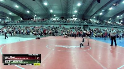 115 lbs Cons. Round 3 - Liam Coan, Willard Youth Wrestling Club-AAA vs Emmett Lorenson, Palmyra Youth Wrestling Club-AAA