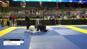 CHRISTOPHER E. HOWE vs TIMOTHY STUART RENNICK 2024 Pan Jiu Jitsu IBJJF Championship