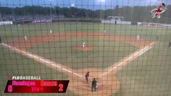 Replay: Flamingos vs Macon Bacon | Jun 6 @ 7 PM