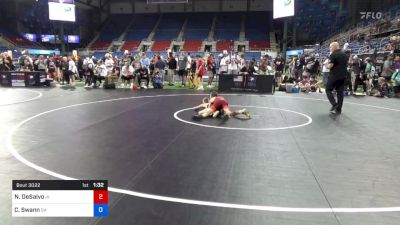 94 lbs Cons 4 - Nico DeSalvo, Iowa vs Christopher Swann, Georgia